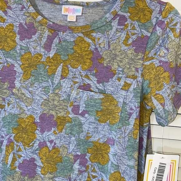 LuLaRoe Carly Rose print dress - Picture 2 of 4